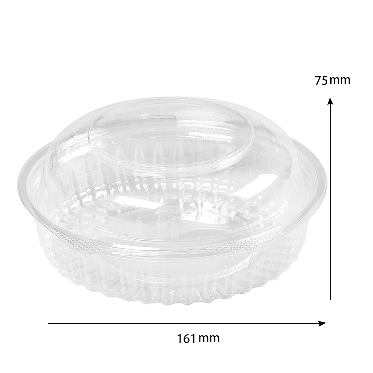 PLA-biodegradable-takeaway-food-container-with-lid