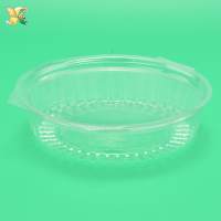 Disposable-Clear-Plastic-Blister-Clamshell-Fruit-Container-1
