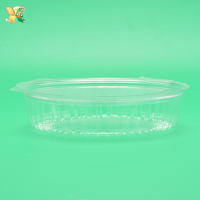 Disposable-Clear-Plastic-Blister-Clamshell-Fruit-Container-2