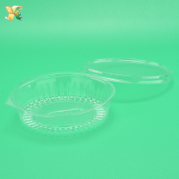 Disposable-Clear-Plastic-Blister-Clamshell-Fruit-Container