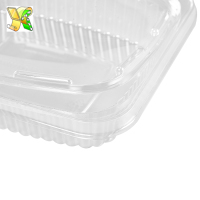 Food-grade-disposable-plastic-box-food-packaging-4