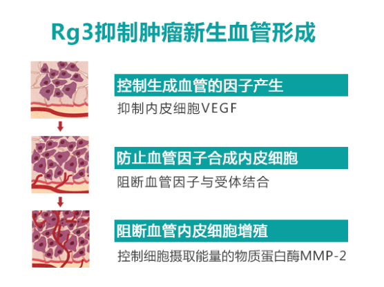 rg3抑制肿瘤新生血管