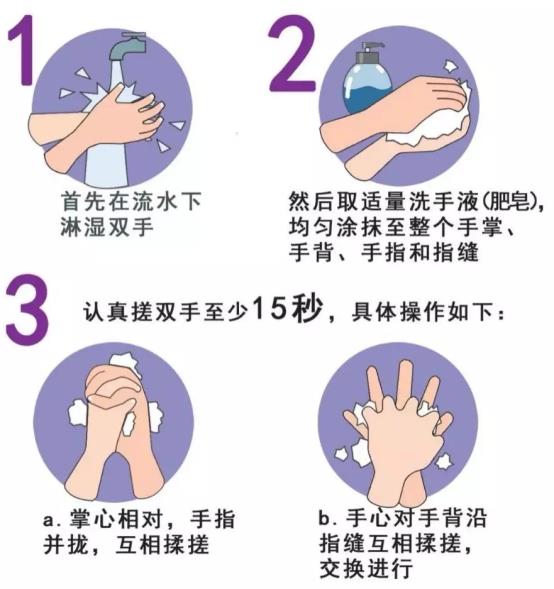 正确洗手1.webp.jpg