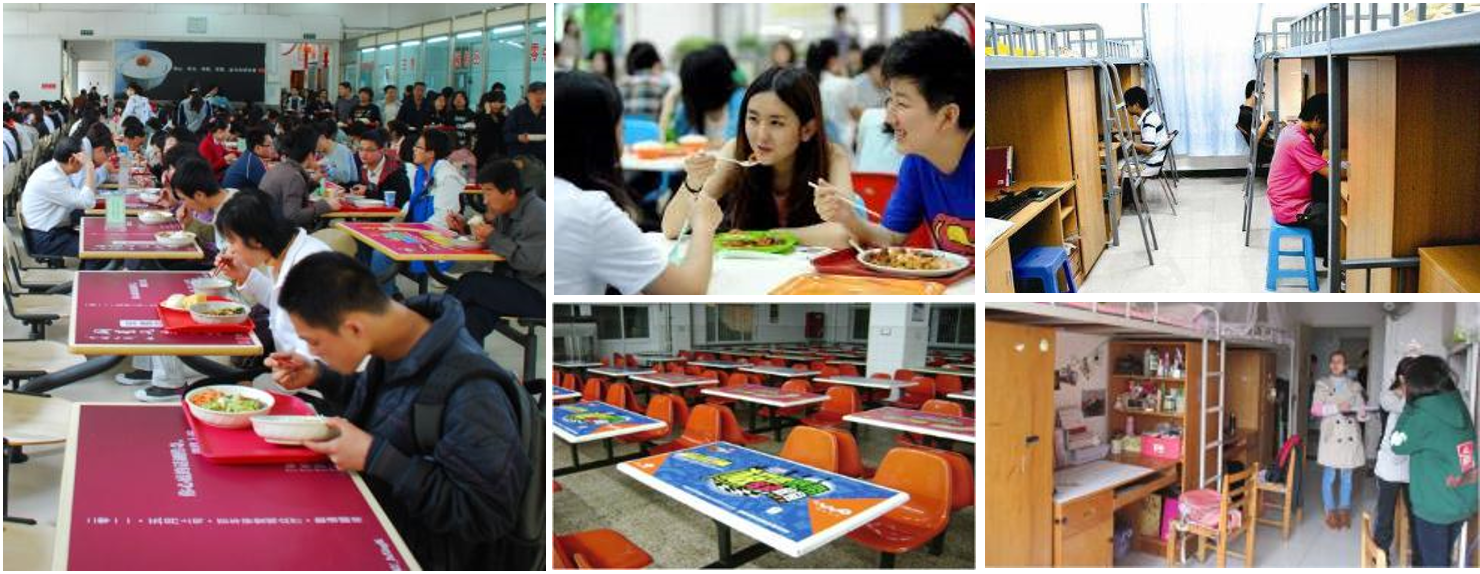 食堂与公寓成为大学生出现频率最高的场景