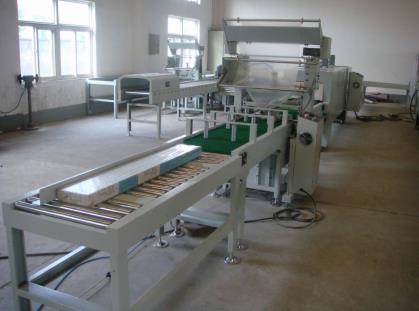 Automatic packing line 1