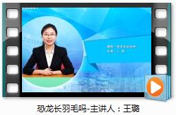 QQ截图20191119105050
