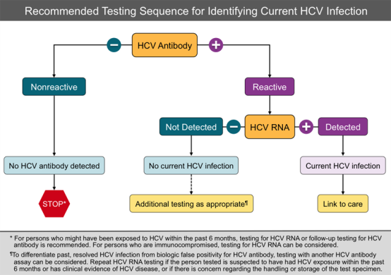 HCV TEST