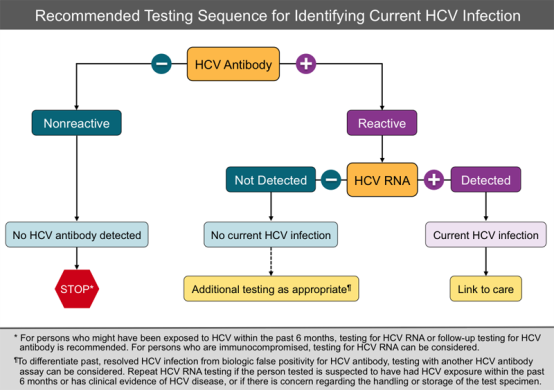 why-hcv-rna-pcr-qualitative-test-important-daan-gene-co-ltd