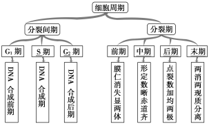 第6章第1节第1课时 阜宁县实验高级中学