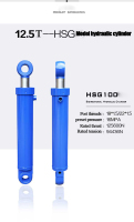 HSG10063-300hydrauliccylinder1