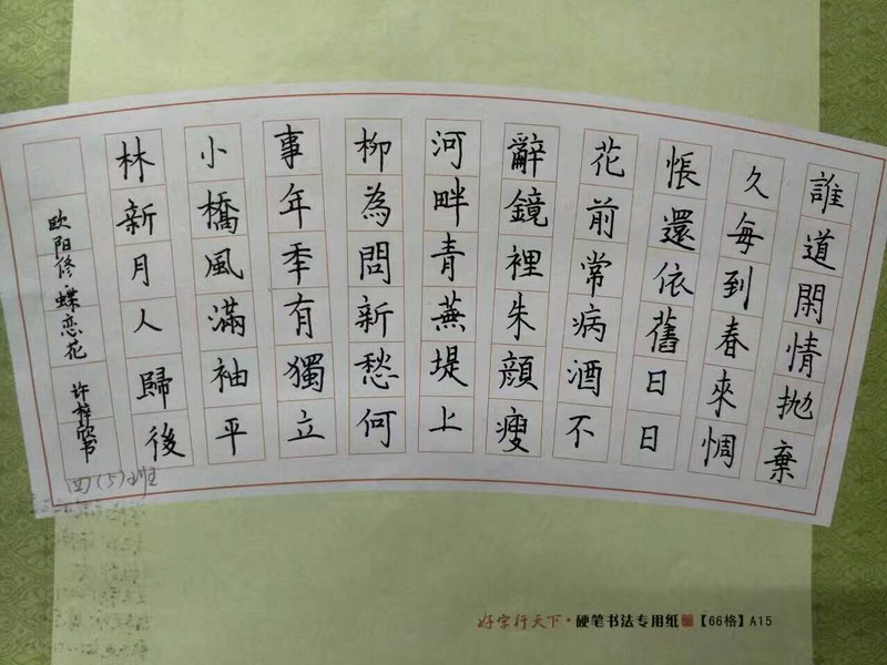 硬笔作品-QQ图片20161230115130