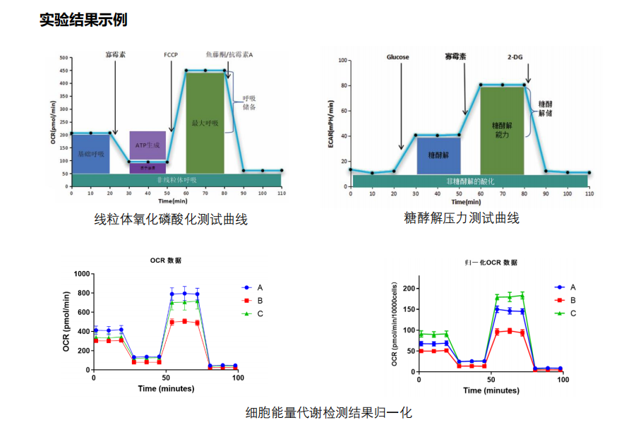 QQ图片20200408135025
