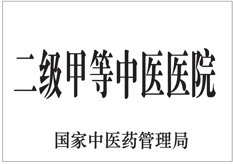 二级甲等中医医院