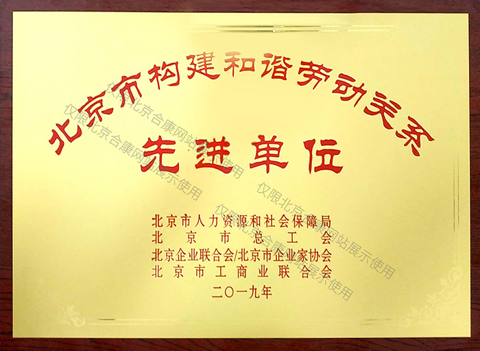 北京市构建和谐劳动关系先进单位奖牌