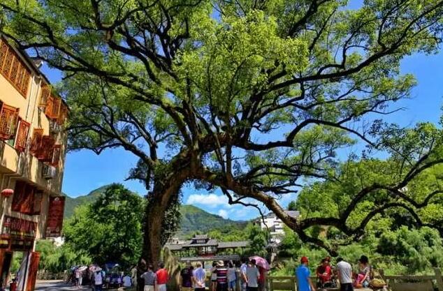 金牌旅游村第三站：“闽东敦煌”宁德西浦村，一个古韵悠长的江南水乡!