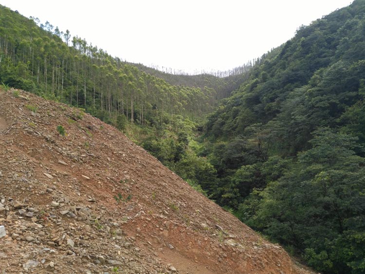 沿沟,顺坡排土,形成泥石流物源