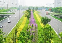 9宁波市世纪大道快速路景观提升工程-封面