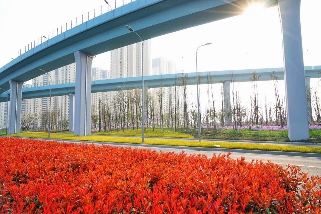 13机场路-青林湾大桥至江北大道快速化改造工程-封面