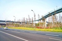 13机场路-青林湾大桥至江北大道快速化改造工程-图片561