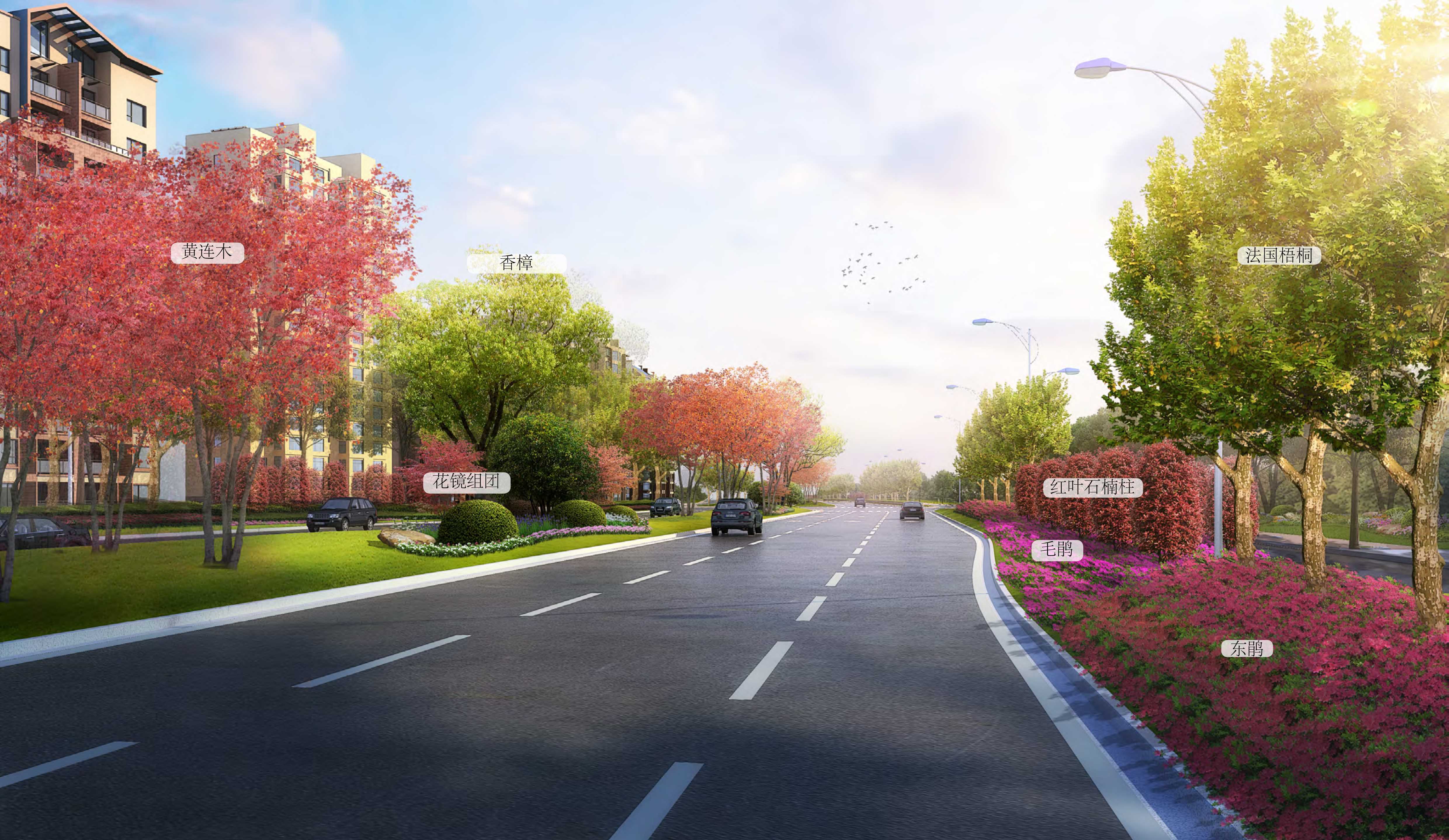 滨海六路道路