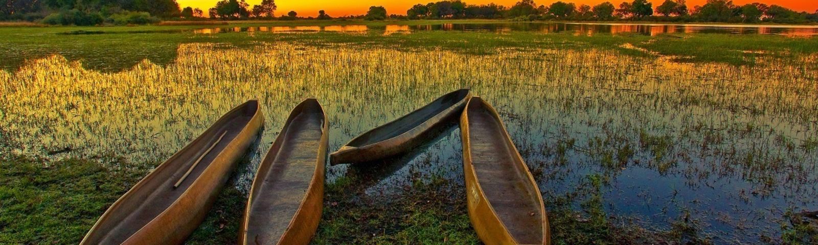 三角洲-Africa-Botswana-Okavango-Delta-Tours1