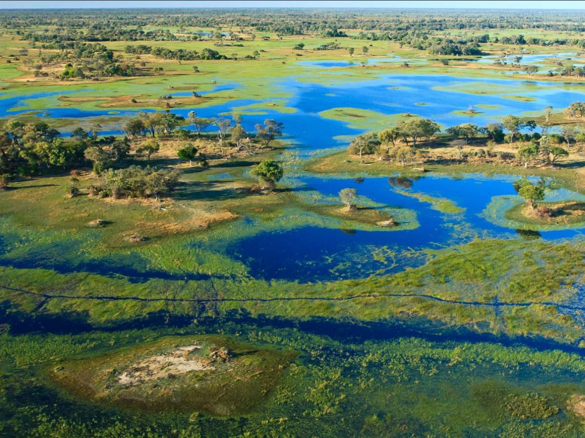 三角洲-Okavango-Delta-Botswana