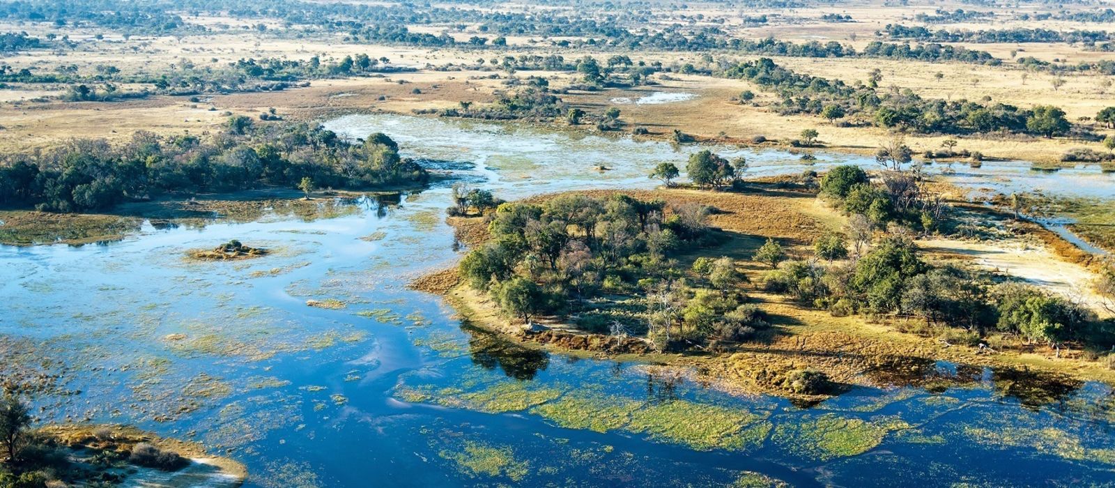 三角洲-Okavango-Deltası
