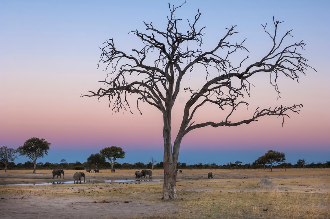 hwange-national-park