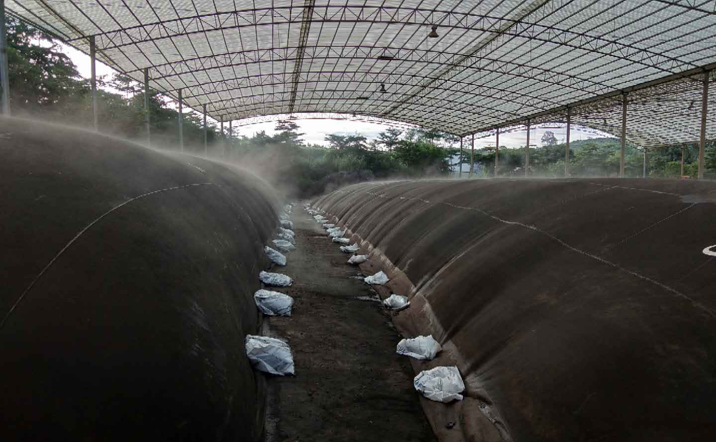 专辑思威博全国基地分子膜发酵生产场景