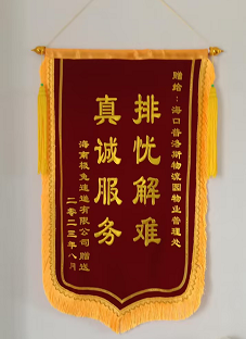 2023年8月海口普洛斯“排忧解难，真诚服务”锦旗