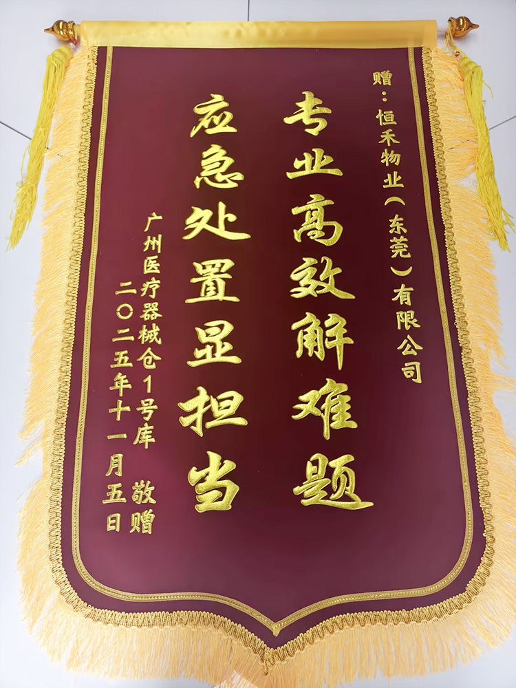 2025年11月京东麻涌‘专业高效解难题，应急处置显担当’锦旗