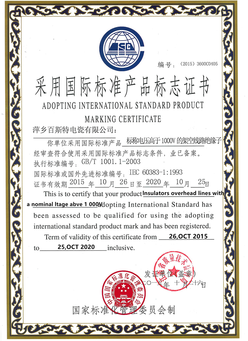 国际标准IEC60383-1