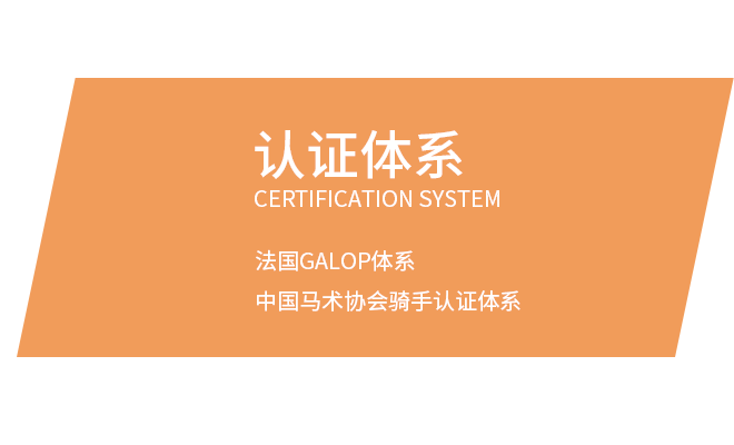 未标题-3
