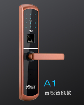A1