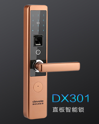 DX301