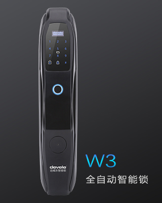 W3
