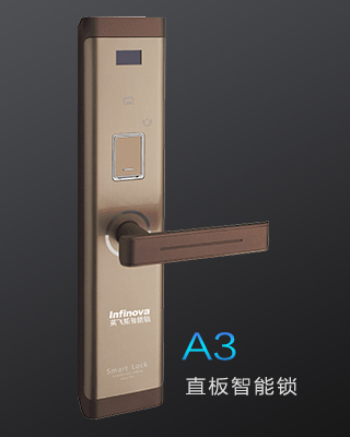 A3