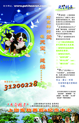 上海市中心城区社区广告媒体投放