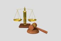專利訴訟圖標1