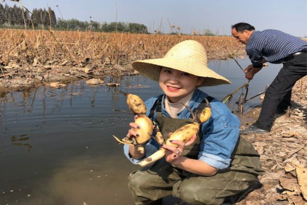 必威体育手机版本图片_20190907161909