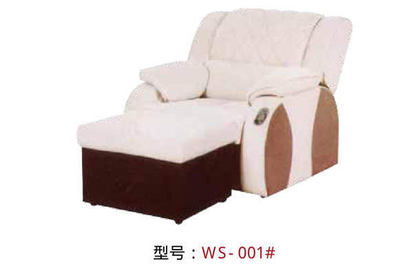 WS-001-