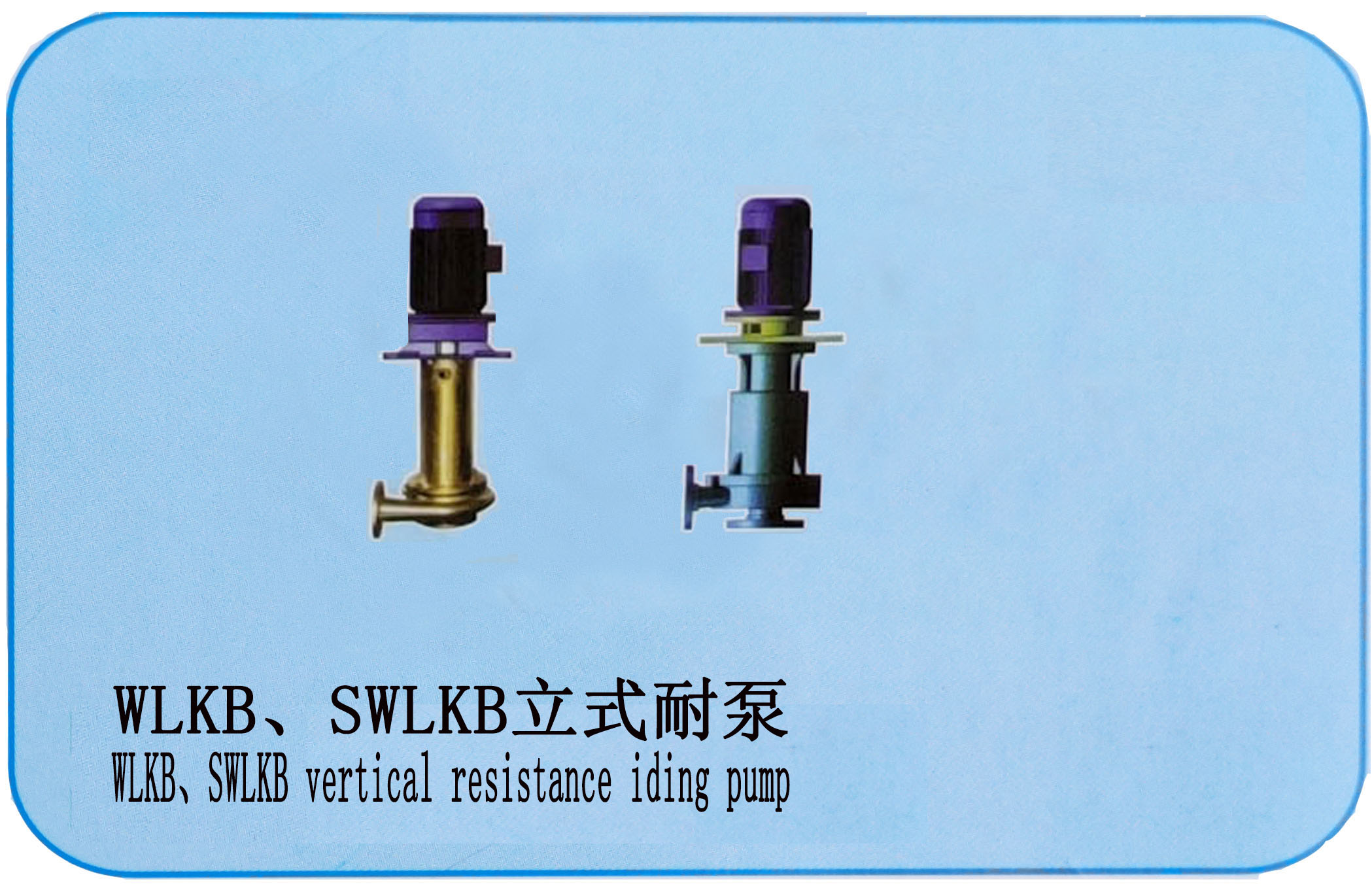 WLKB、SWLKB立式耐泵