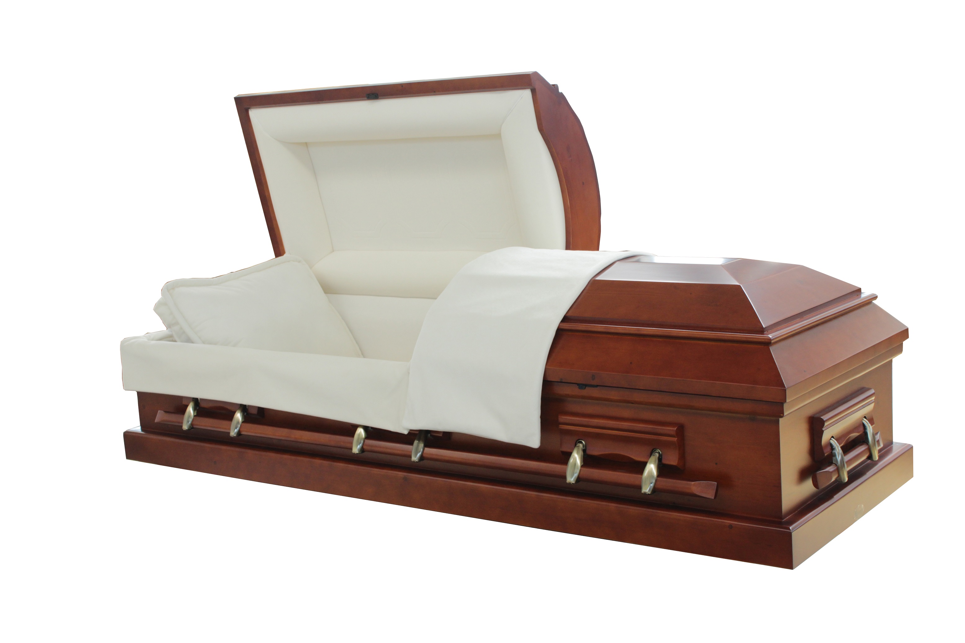 SPN6603
