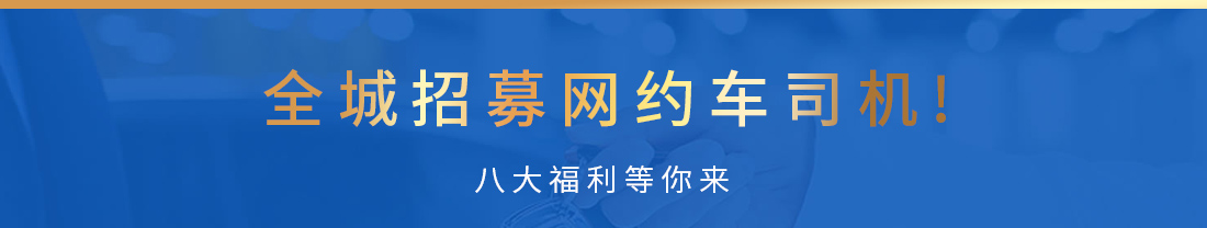 招募内页