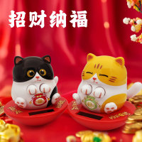 主图800-福猫主图_02