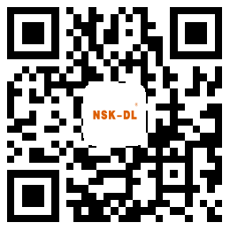 nsk-dl轴承
