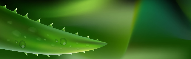TIM图片20190719151255
