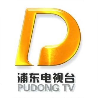logo2-浦东电视台