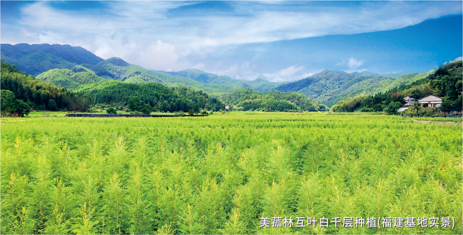 种植基地实景