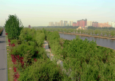 鑫藍公司-北京園林綠化工程